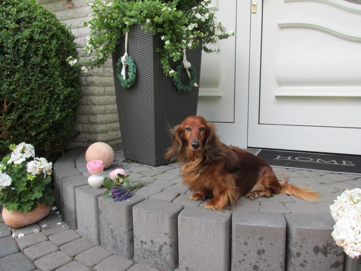 Pension Roseneck Wolfshagen  Bagian luar foto